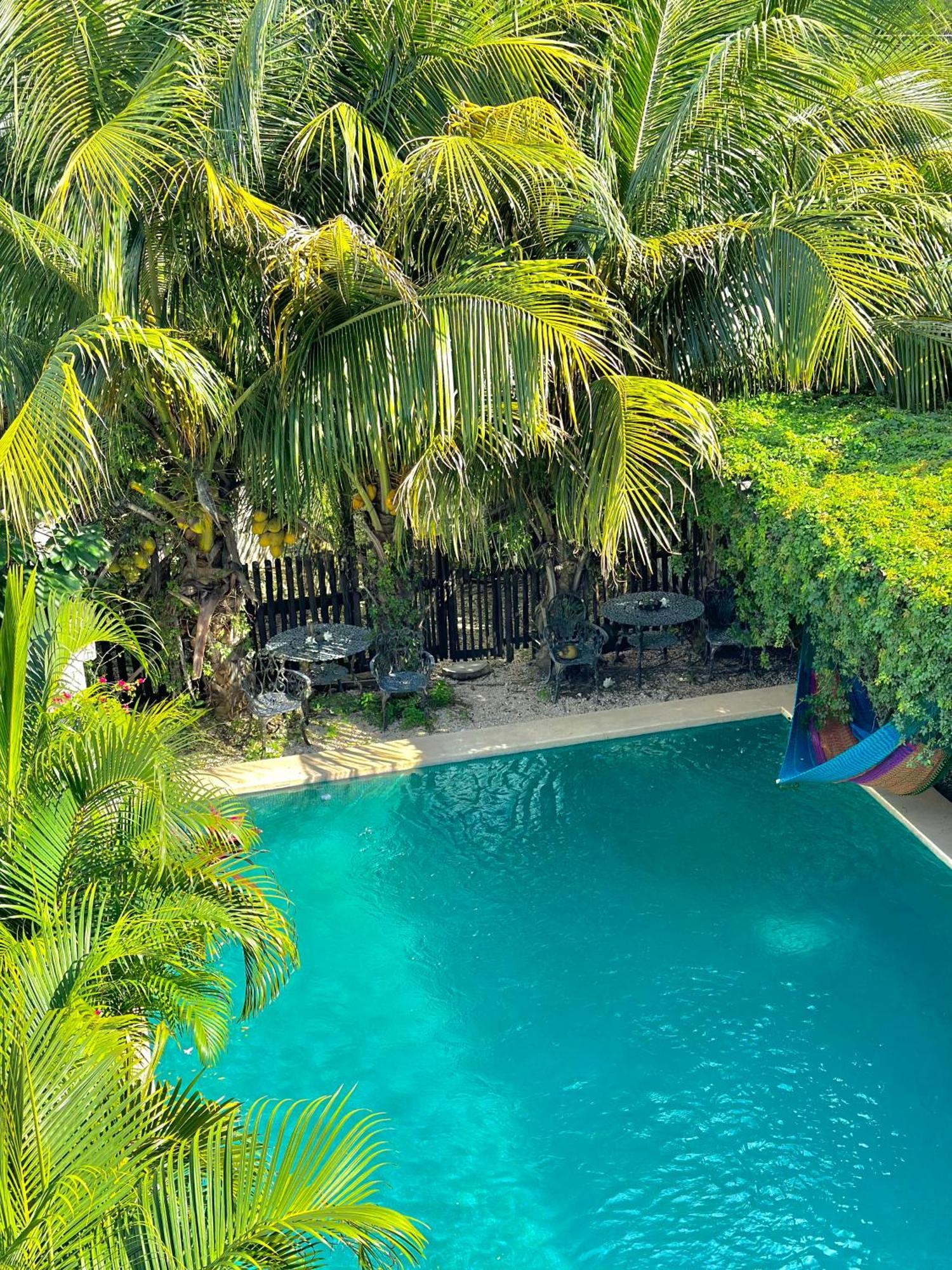 Hotel Jaiba Mahahual - Adults Only Exterior photo