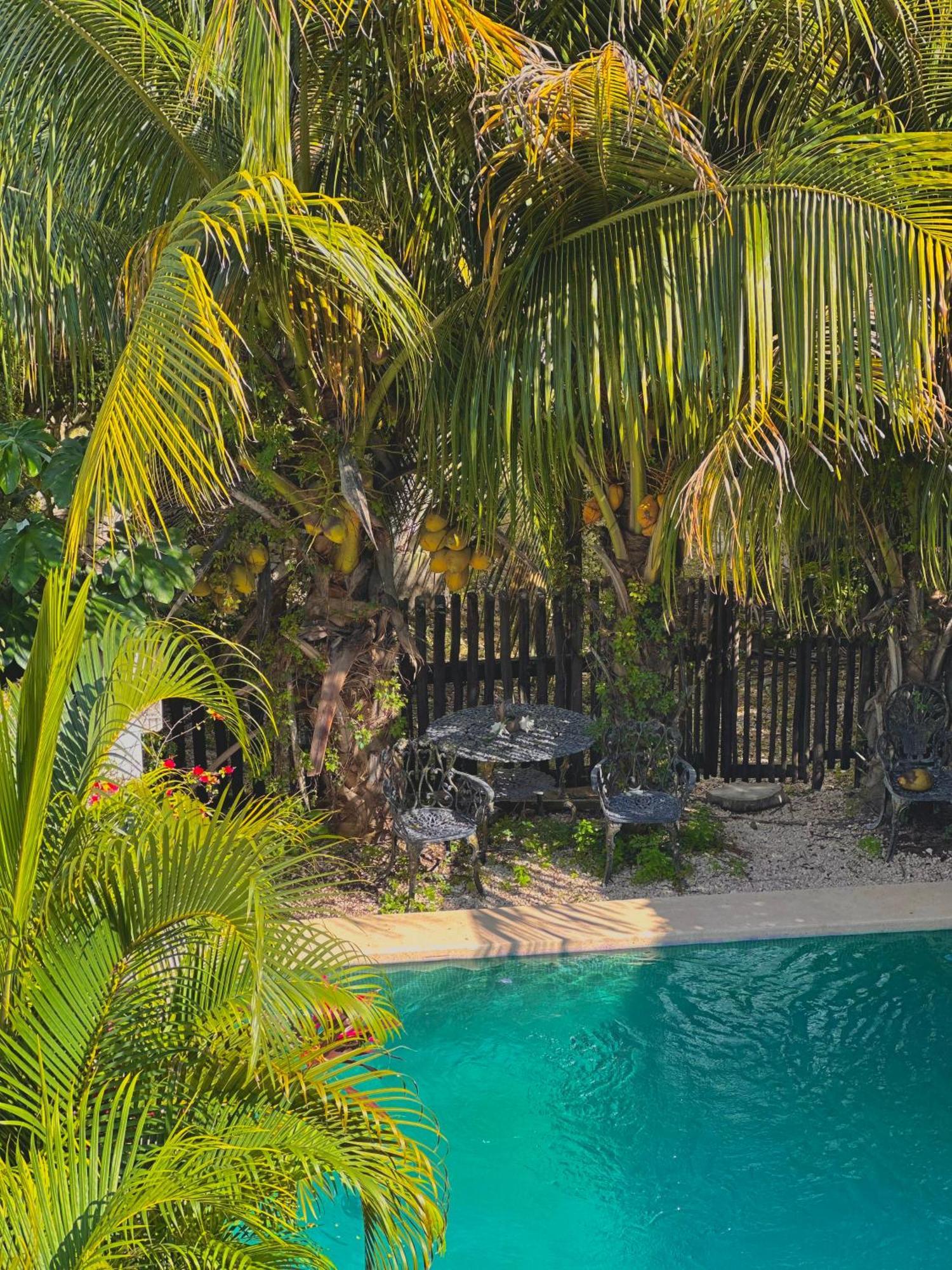 Hotel Jaiba Mahahual - Adults Only Exterior photo