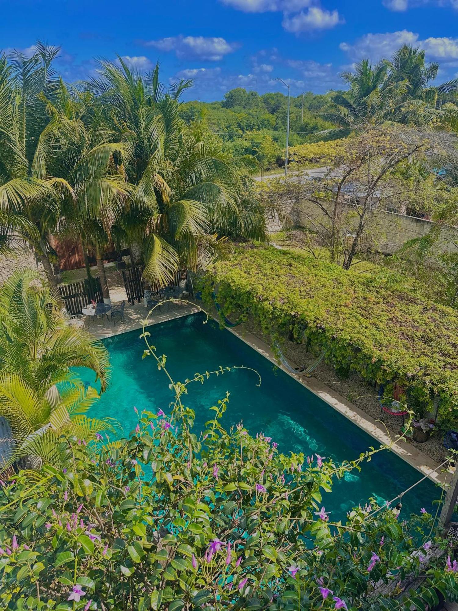 Hotel Jaiba Mahahual - Adults Only Exterior photo